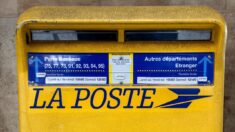 Marseille: la factrice trouve le chemin « trop dangereux », il ne reçoit plus de courrier depuis 2 ans