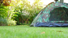 Dordogne: son domicile est squatté, elle installe une tente au fond de son propre jardin