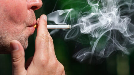 Il sera bientôt interdit de fumer dans les forêts, sur les plages et aux abords des lieux publics