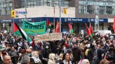 ANALYSE: Que se cache-t-il derrière les rassemblements anti-israéliens et quel est leur objectif ?
