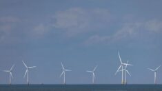 Le désastre «net zéro» de la Grande-Bretagne et l’escroquerie de l’énergie éolienne