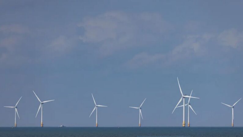 Le parc éolien offshore de Kentish Flats au large de Herne Bay, au Royaume-Uni, le 26 septembre 2023 (Dan Kitwood/Getty Images)