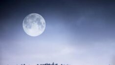 Une pleine «Lune froide» s’élèvera haut dans le ciel à l’approche de Noël: voici ce qu’il faut savoir