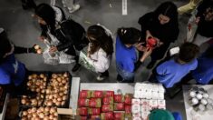 « La demande a explosé »: à Toulouse, près de 900 étudiants récupèrent un panier alimentaire chaque semaine