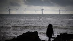 Pourquoi le plus grand parc éolien en mer est-il à l’arrêt complet depuis le 1er décembre ?