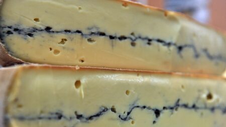 Rappel de fromage à raclette, tomme, morbier pour cause d’Escherichia coli
