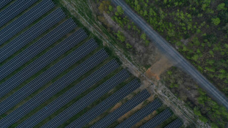 17 hectares de forêt rasés dans la montagne de Lure pour installer une centrale photovoltaïque destinée à produire de « l’énergie verte »