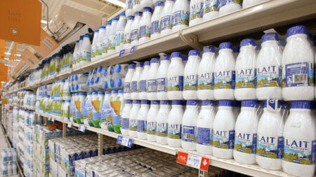 Du lait néo-zélandais venant de 20.000 km et moins cher que le lait français bientôt dans nos rayons?