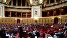 Immigration: la droite veut dénoncer l’accord franco-algérien et réformer la Constitution