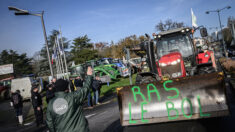 Les agriculteurs en colère dénoncent des règlementations aberrantes: « Ils sont en train de nous démoraliser », « les jeunes se détournent du métier »