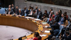 Les Etats-Unis bloquent à l’ONU l’appel à un cessez-le-feu humanitaire immédiat à Gaza