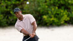 Golf: Tiger Woods, moyen mais «solide», a retrouvé la compétition