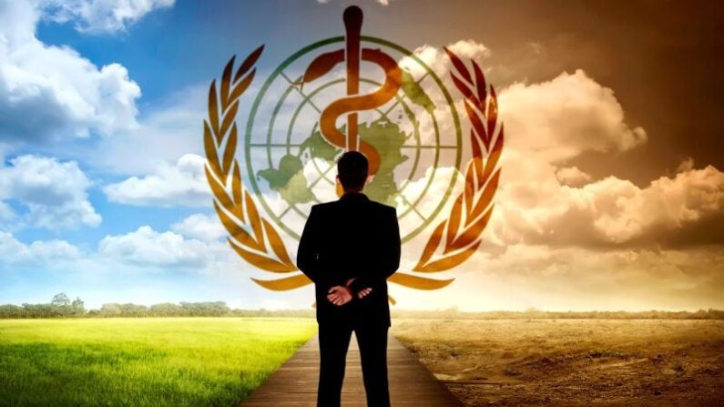 Treize scientifiques demandent à l'OMS de prendre une décision sur une "urgence sanitaire mondiale liée à la crise climatique"  iStock/Montage Epoch Times