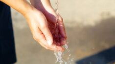 Hérault: face à la pénurie d’eau potable, la mairie de Courniou demande une accélération exceptionnelle des procédures pour exploiter une nouvelle source