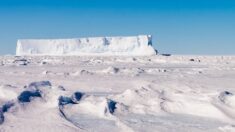 La glace de l’Antarctique augmente après une «fonte record»