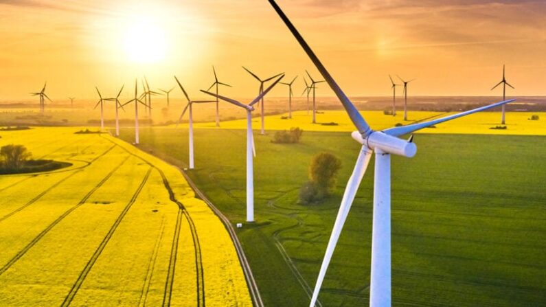 L'énergie éolienne devrait couvrir 22% de la consommation d'électricité allemande en 2023. Mais cela ne représente que 3,5 % de la consommation totale d'énergie. (iStock)
