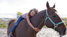 La thérapie par la nature, l’art et les chevaux, est prometteuse pour les enfants autistes