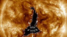 Alerte tempête géomagnétique: un immense trou coronal 60 fois plus grand que la Terre se forme dans l’atmosphère du Soleil