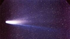 La magnifique comète de Halley revient enfin vers la Terre