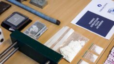 Belgique: 50 sachets de cocaïne retrouvés dans le cabinet ministériel de l’Éducation