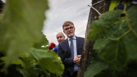 Marc Fesneau annonce 80 millions d’euros d’aides pour les viticulteurs