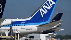 Japon: un passager mord une hôtesse de l’air, l’avion fait demi-tour
