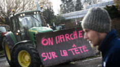« 55% des agriculteurs français vont partir à la retraite d’ici moins de dix ans »: l’inquiétante diminution du nombre d’agriculteurs en France