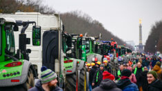 Allemagne: des agriculteurs en colère bloquent le ministre de l’Économie à bord d’un ferry