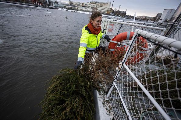Malin Kjellin, chef de projet pour l'association suédoise des pêcheurs, Sportfiskarna, jette de vieux arbres de Noël dans les eaux de Hammarby Sjostad, le 12 janvier 2024 à Stockholm. (Photo JONATHAN NACKSTRAND/AFP via Getty Images)