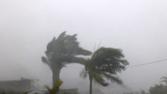 L’œil du cyclone Belal est arrivé à La Réunion, en alerte maximale
