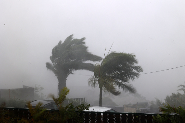 Des arbres soumis à des vents très forts pendant le cyclone Belal, à La Possession, sur l'île d'outre-mer de La Réunion, le 15 janvier 2024. (Photo RICHARD BOUHET/AFP via Getty Images)