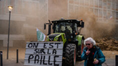 Revenu, normes…: à Toulouse, une nouvelle manifestations des agriculteurs en colère