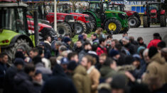 Les manifestations de «ras-le-bol» des agriculteurs se multiplient