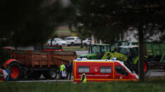 Mort d’une agricultrice en Ariège: les occupants de la voiture étaient visés par une OQTF