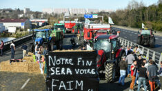Bottes de paille, «rage» et blocages: les agriculteurs amplifient leur mouvement