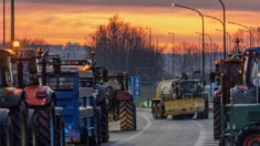 Les agriculteurs belges ont bloqué une autoroute dimanche