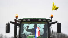 Agriculteurs en colère: 15 agriculteurs interpellés près de Rungis et placés en garde à vue