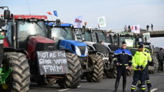 Colère des agriculteurs : « Les flics de France soutiennent ce mouvement-là », déclare le porte-parole d’Alliance Sud