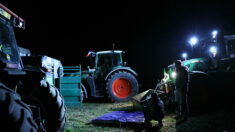 Une partie du convoi d’agriculteurs du Sud-Ouest vers Rungis bloqué dans le Loiret pour la nuit