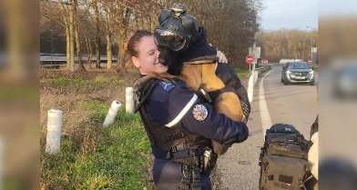 La chienne Tess, équipée comme une motarde, se fait contrôler par la gendarmerie de Côte-d’Or