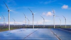 Les « énergies renouvelables », un business déficitaire – comment les installations éoliennes et solaires pèseront sur le contribuable allemand à partir de 2024