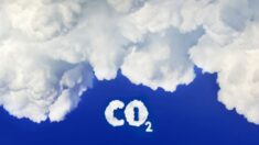 Un seul calcul fait du CO₂ le facteur principal du réchauffement climatique