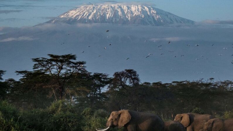 Vue générale sur le Kilimandjaro depuis le sanctuaire de Kimana, au Kenya, le 2 mars 2021. (Crédit photo YASUYOSHI CHIBA/AFP via Getty Images)