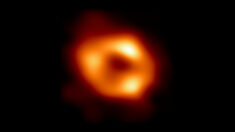 Découverte d’un trou noir supermassif: « il mange un peu plus d’un soleil par jour »