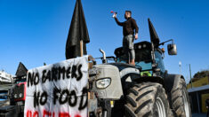 Grèce: un convoi de tracteurs converge vers Athènes