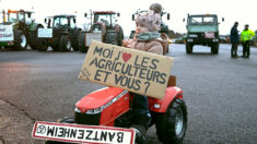 Retour des agriculteurs en Dordogne : « C’est extraordinaire. Ce sont des héros pour nous »