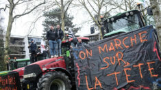 Pour le monde agricole français, les paysans sont écrasés sous le poids des normes