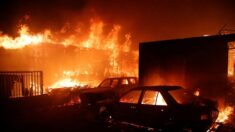 Vidéo: un bus traverse les flammes au Chili – « ce n’est pas une scène de film »