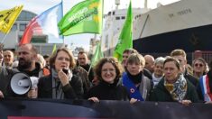 Surpêche: à Saint-Malo, mobilisation contre un des plus grands chalutiers au monde