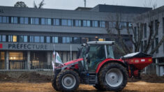 Prairies, contrôles, climat: Bruxelles veut alléger «la pression» sur les agriculteurs